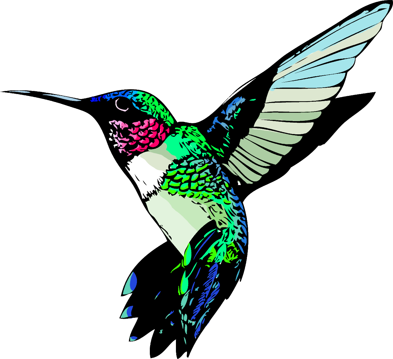 hummingbird-logo